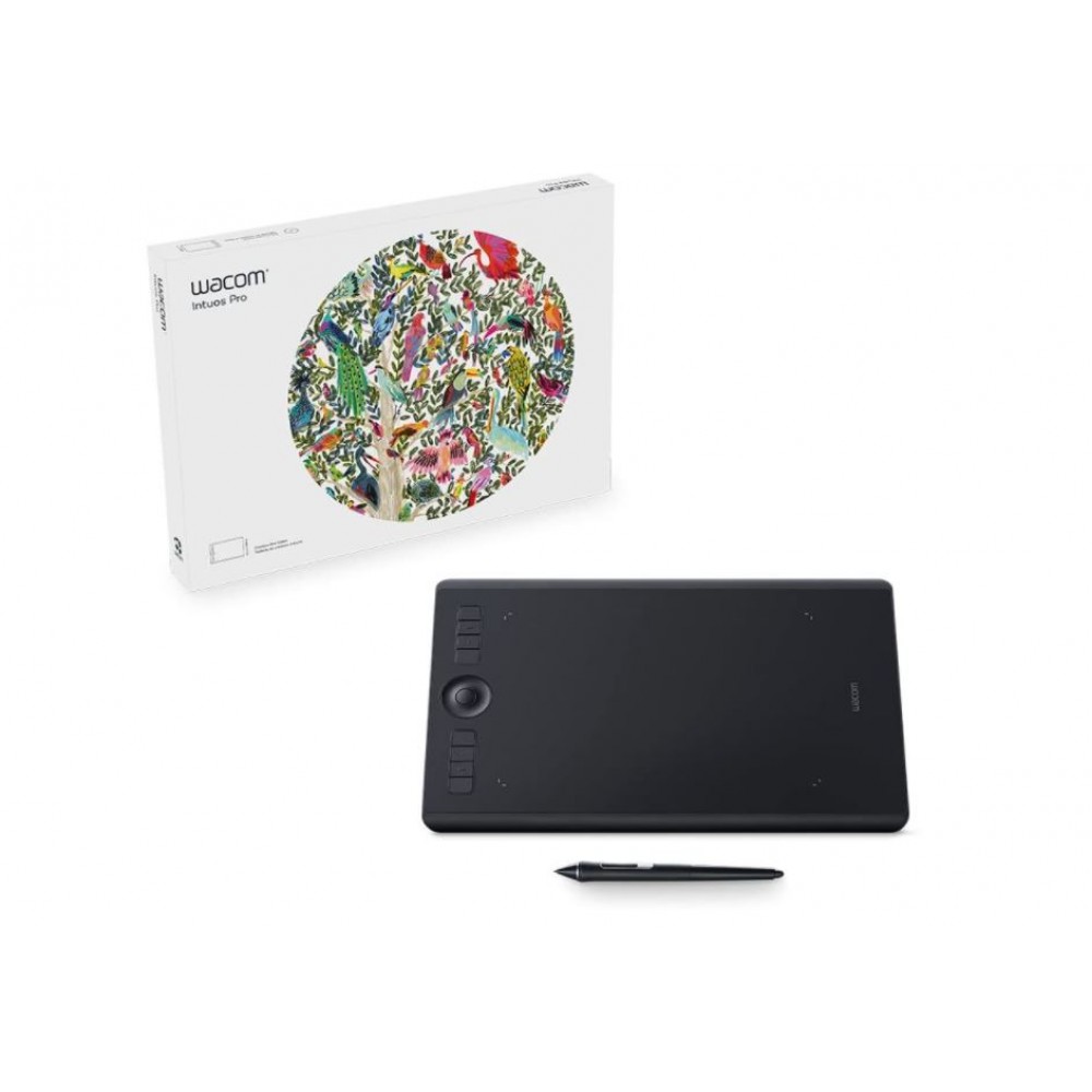 Wacom PTH660 Intuos Pro Creative Graphics Drawing Pen Tablet